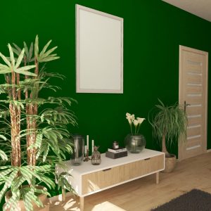2.1.-Living-verde-cu-gri-cum-poti-amenaja-incaperea-in-functie-de-stilul-dorit_living-verde-cu-mobilier-maro-si-plante.jpg
